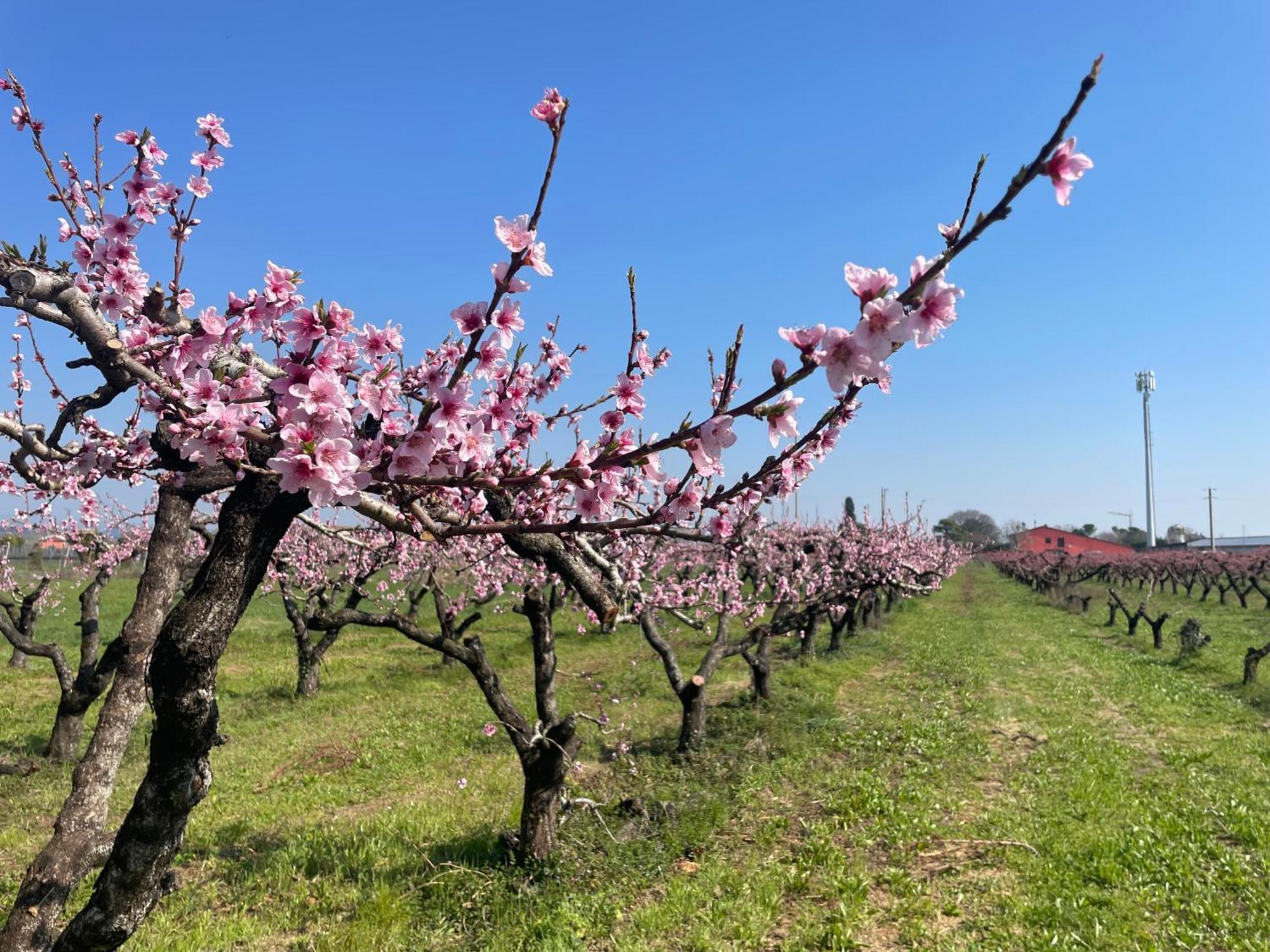 Agriturismo Corte Vecia Alloggio Della Corte - Verona — Photos 1